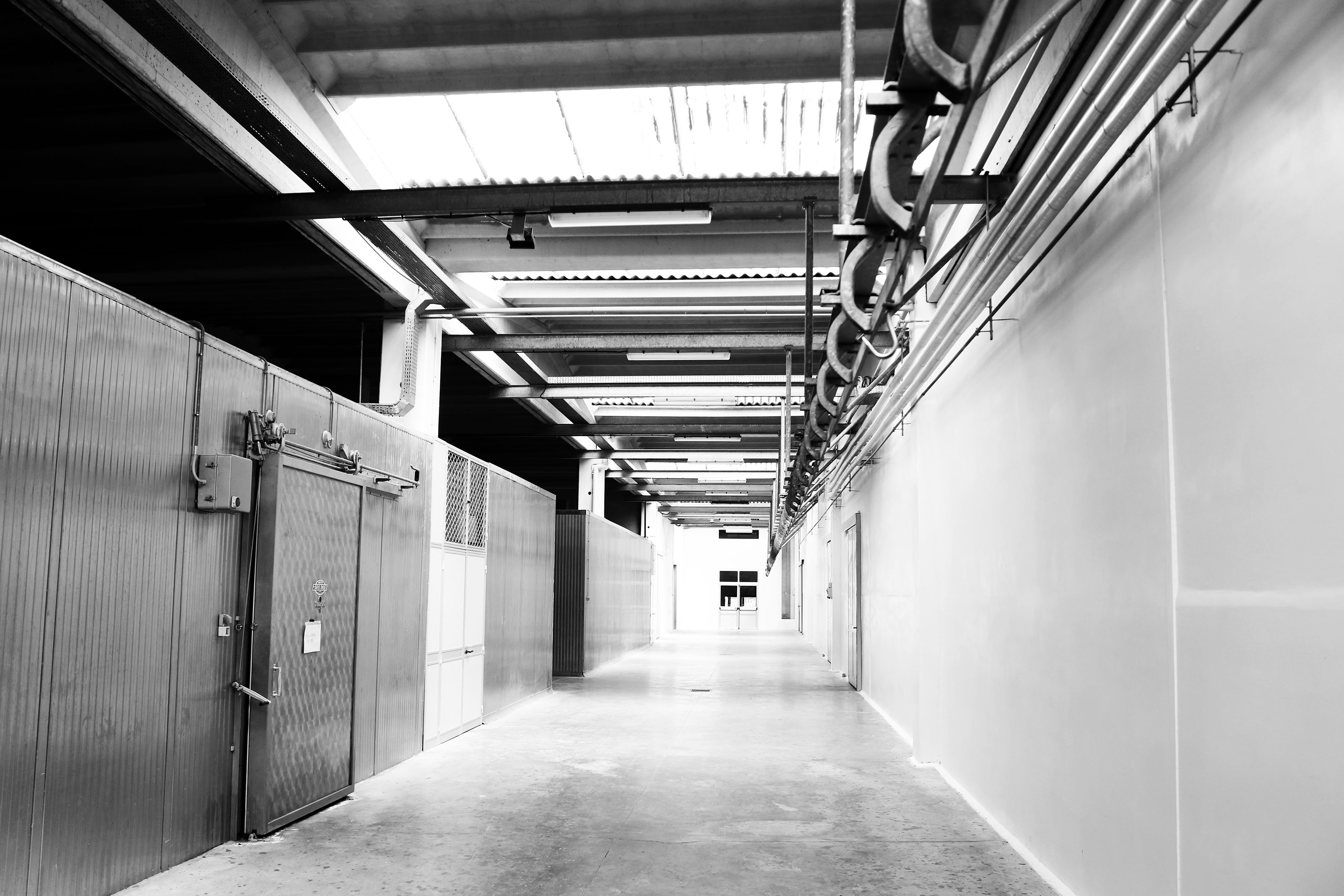 Basile Salumi Stabilimento Potenza 4